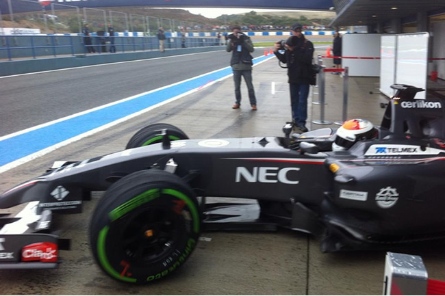 Adrian Sutil - Sauber - C33 - Test 2014 - Jerez