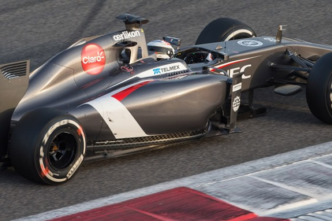 Adrian Sutil - Sauber - Test 2 Bahréin - 2014 - día 7 (3)