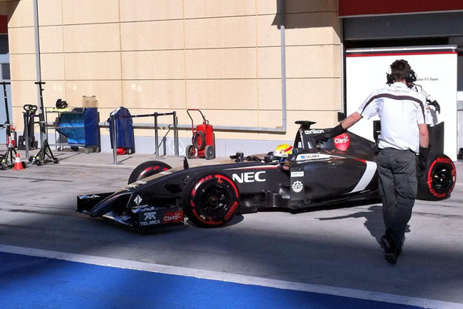 Esteban Gutiérrez - Sauber - Test 2 Bahréin - 2014 - día 8 (4)