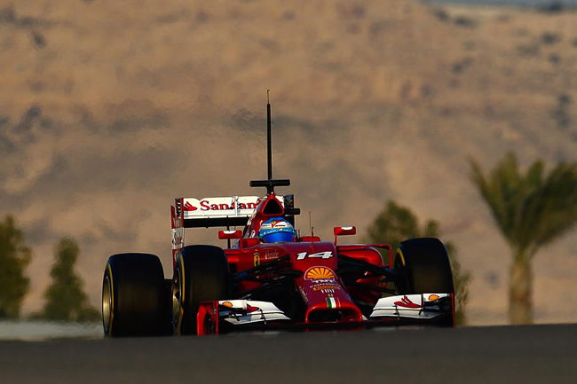 Fernando Alonso - Ferrari - Test Bahréin 2 - 2014 - día 2 (6)