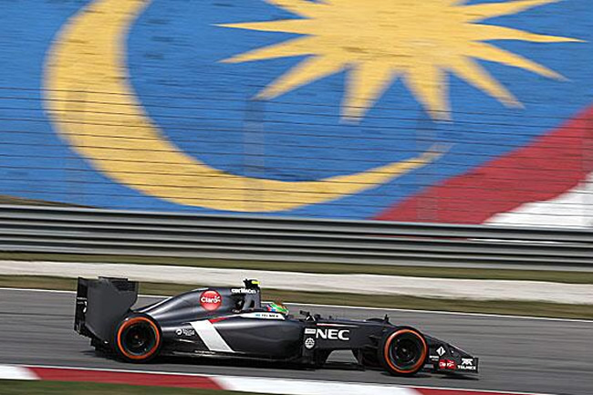 Sauber - Gran Premio de Malasia - Sepang - 2014 - Viernes