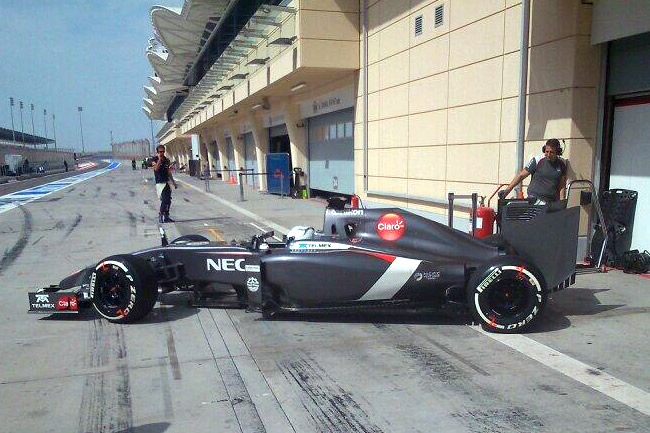 Giedo van der Garde - Sauber - Temporada 2014 - Día 2