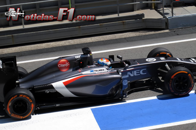 Adrian Sutil - Sauber - F1 2014 