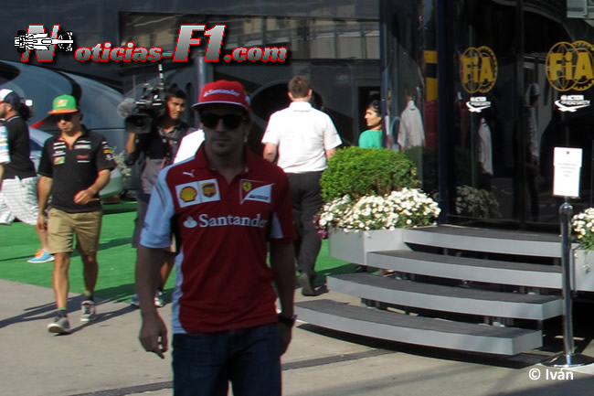 Fernando Alonso - Scuderia Ferrari - F1 2014 - www.noticias-f1.com 