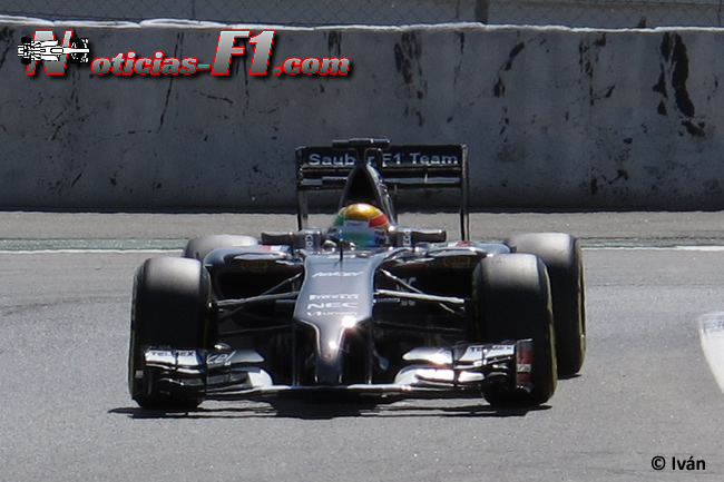 Esteban Gutiérrez - Sauber - F1 2014 - www.noticias-f1.com