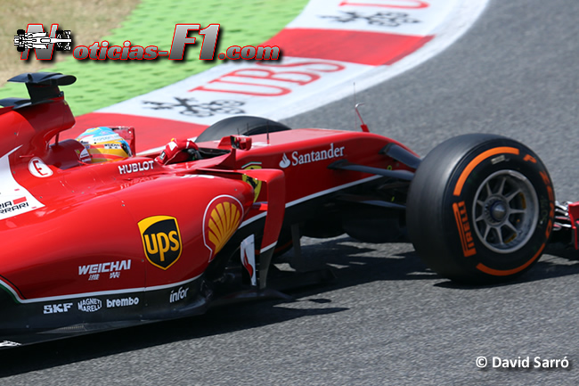 Fernando Alonso - Scuderia Ferrari- F1 2014 - www.noticias-f1.com - David Sarró