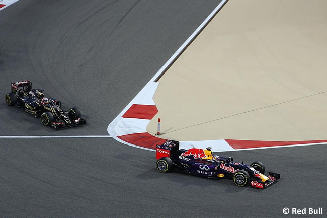 Gran Premio de Bahreín 2015 - Domingo - Daniel Ricciardo