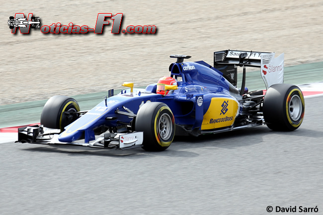 Felipe Nasr - Sauber - David Sarró - 2015 - C34 - www.noticias-f1.com