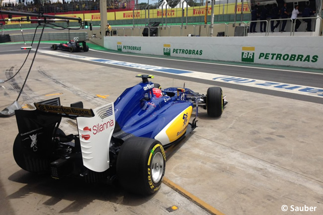 Felipe Nasr - Sauber - Gran Premio de Brasil 2015