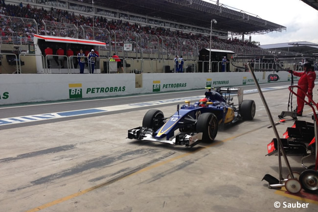 Felipe Nasr - Sauber - Gran Premio de Brasil 2015
