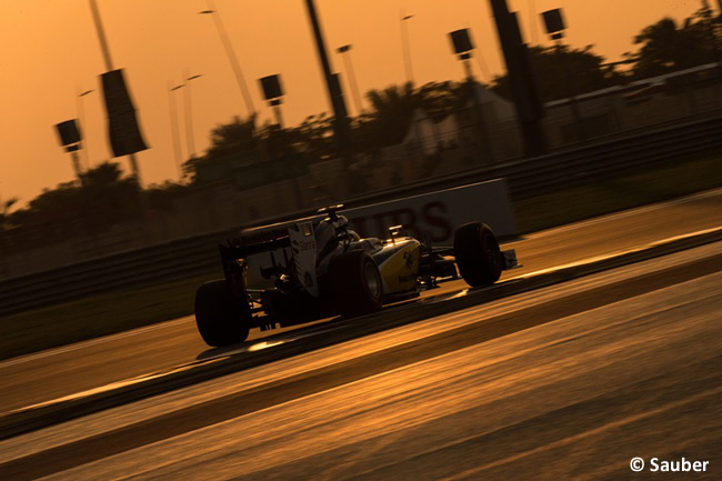 Marcus Ericsson - Sauber - GP Abu Dhabi 2015