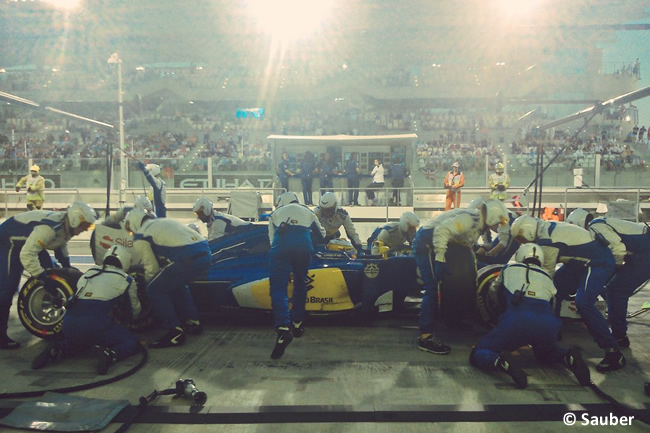 Marcus Ericsson - Sauber - GP Abu Dhabi 2015