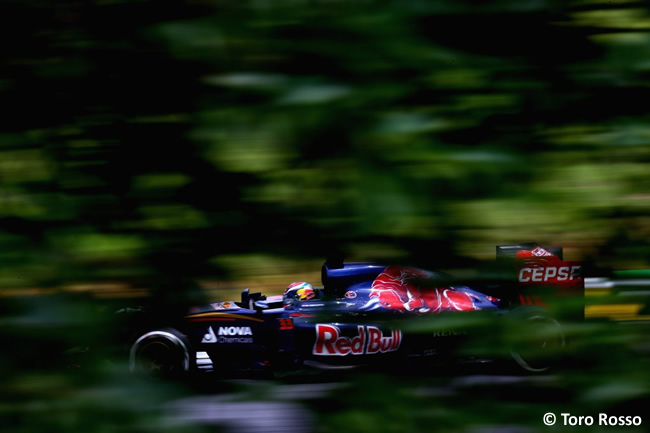 Max Verstappen - Toro Rosso - Gran Premio de Brasil 2015