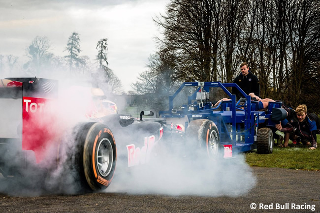 Red Bull Racing - Daniel Ricciardo - Bath Rugby Club