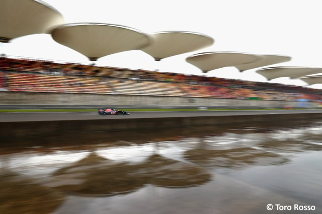 Toro Rosso - GP China - Calificación - 2016