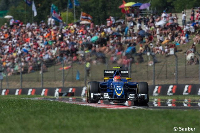 Felipe Nasr - Sauber - GP Hungría 2016