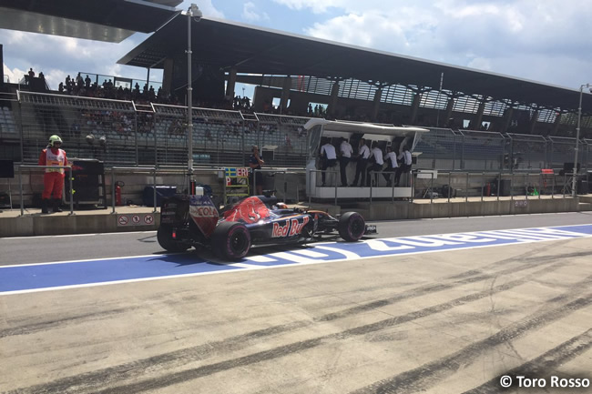 Toro Rosso - GP Austria 2016 - Calificación