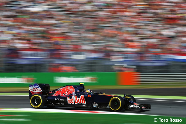 Carlos Sainz - Toro Rosso - GP Italia - Monza 2016 - Viernes