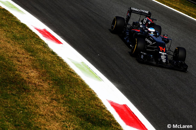 Fernando Alonso - McLaren - GP Italia - Monza 2016 - Viernes