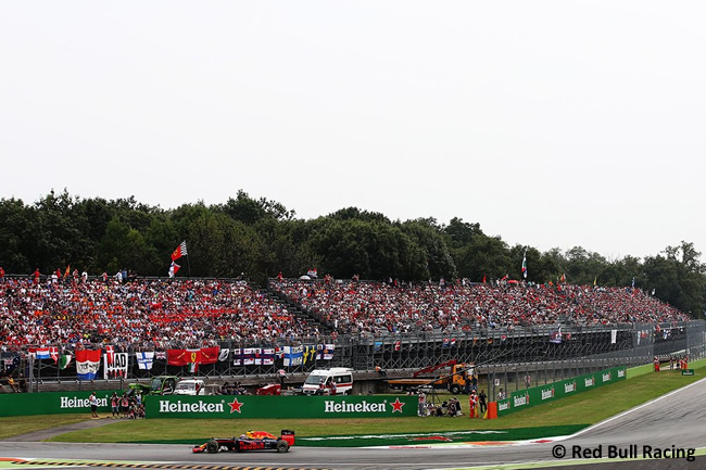 Red Bull - GP Italia - Monza 2016 - Domingo