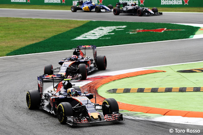 Toro Rosso - GP Italia - Monza 2016 - Domingo