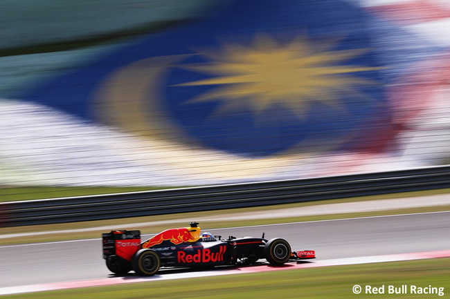 Daniel Ricciardo - Red Bull Racing - Carrera GP Malasia 2016