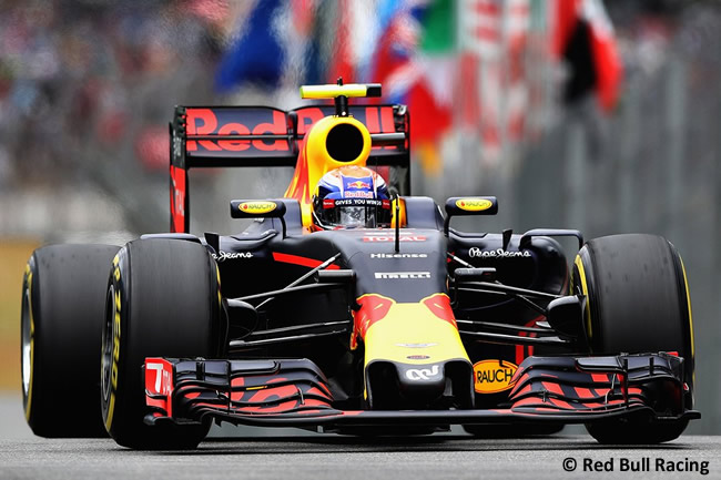 Max Verstappen - Red Bull Racing - GP Brasil 2016 - Sábado