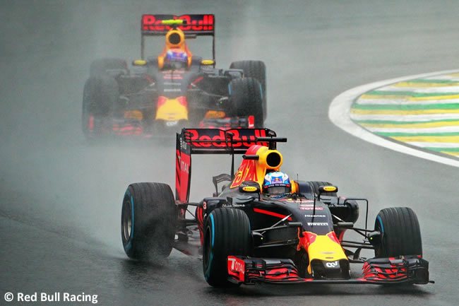 Red Bull Racing - GP Brasil 2016 - Domingo