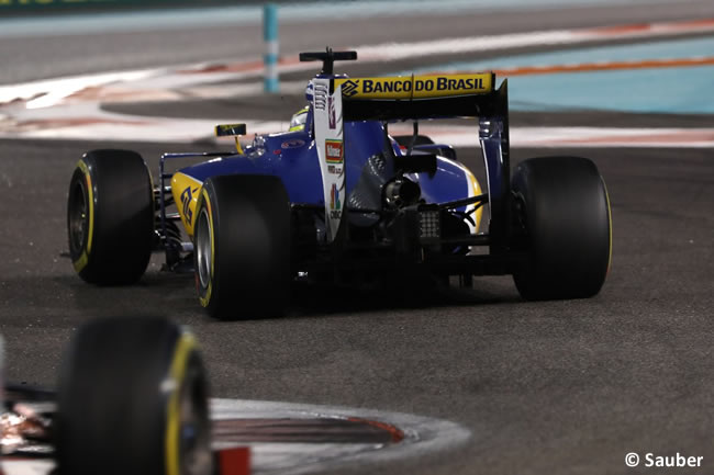 Sauber - Carrera GP Abu Dhabi 2016