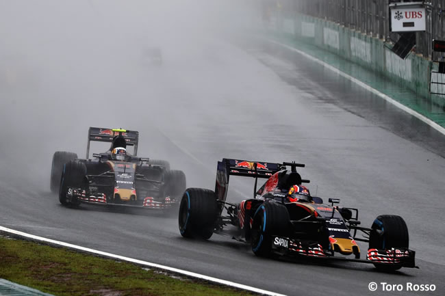 Toro Rosso - GP Brasil 2016 - Domingo