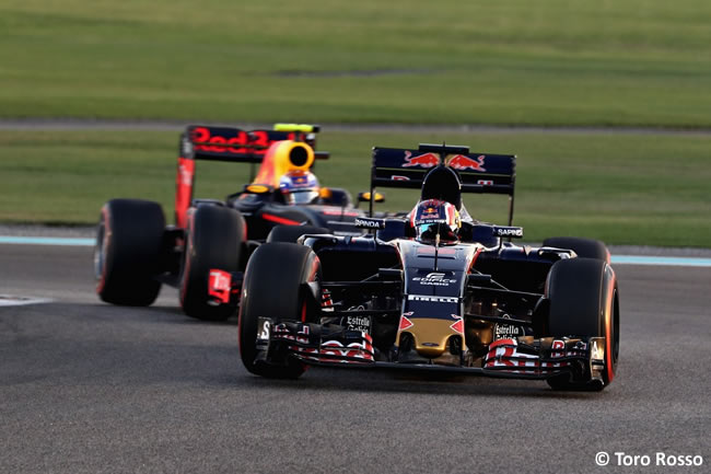 Toro Rosso - Carrera GP Abu Dhabi 2016