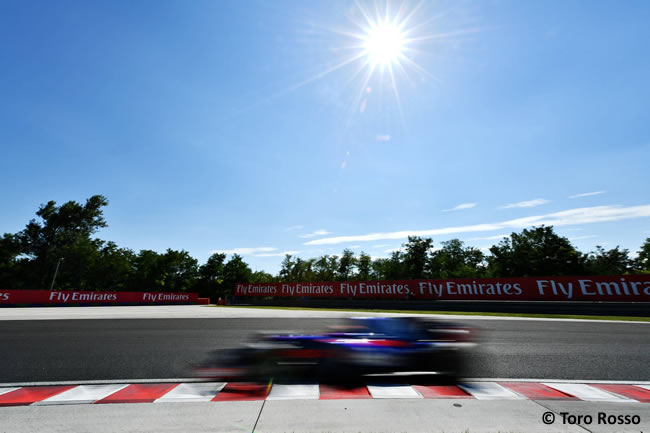 Toro Rosso - Test temporada Hungría - Día 2