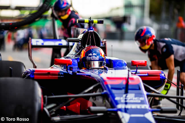 Carlos Sainz - Toro Rosso - GP Italia 2017 - Entrenamientos