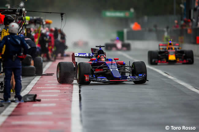 Daniil Kvyat - Toro Rosso - GP Italia 2017 - Calificación