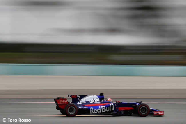 Pierre Gasly - Toro Rosso - GP Malasia 2017 - Entrenamientos