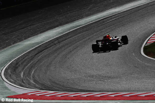 Max Verstappen - Red Bull Racing - Carrera- GP Japón 2017