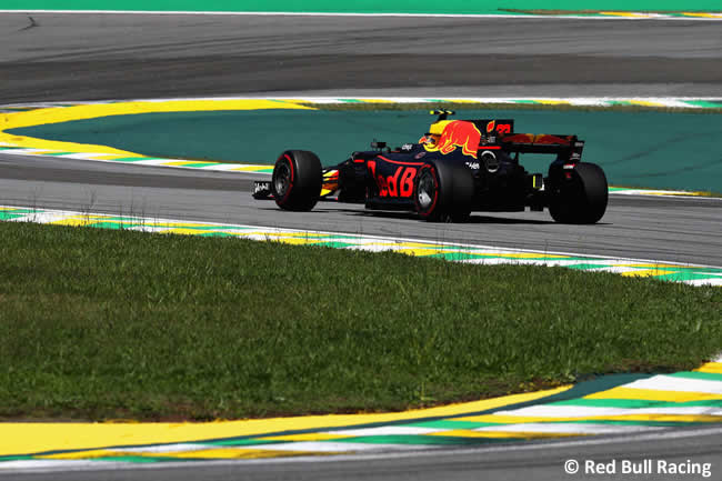 Max Verstappen - Red Bull Racing - Carrera - GP Brasil 2017