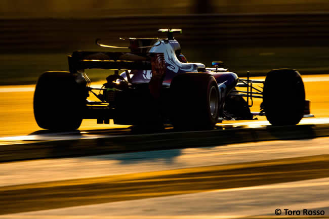 Scuderia Toro Rosso - GP Abu Dhabi 2017