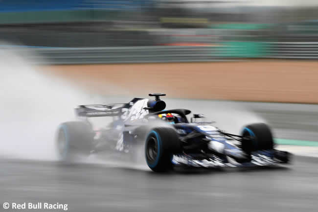 RB14 - Pista Frontal- Red Bull Racing 2018