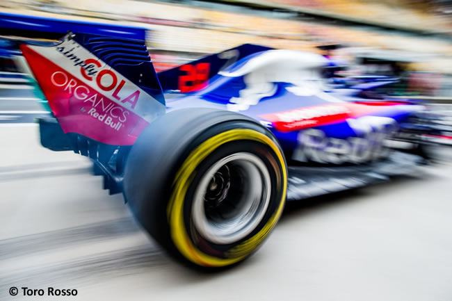 Brendon Hartley - Toro Rosso - GP China 2018 - Viernes