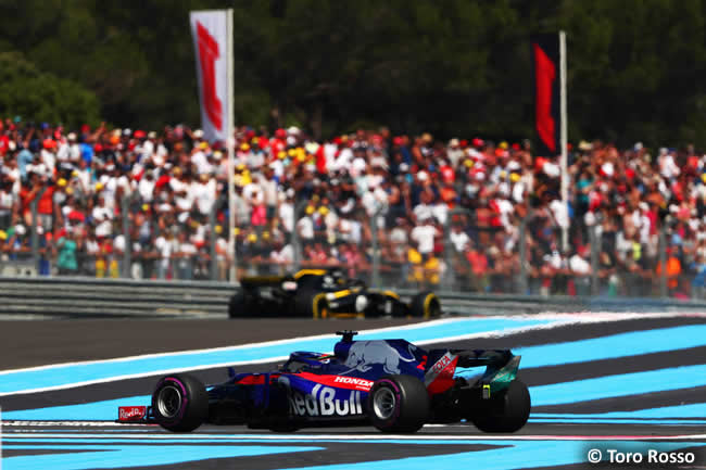 Brendon Hartley - Toro Rosso - Carrera GP - Francia 2018