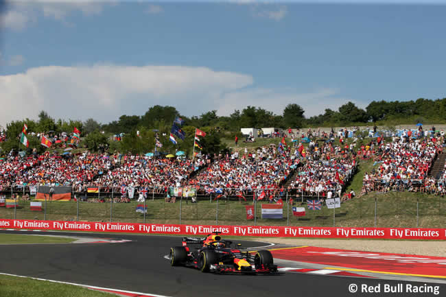 Daniel Ricciardo - Red Bull - Carrera GP Hungría 2018