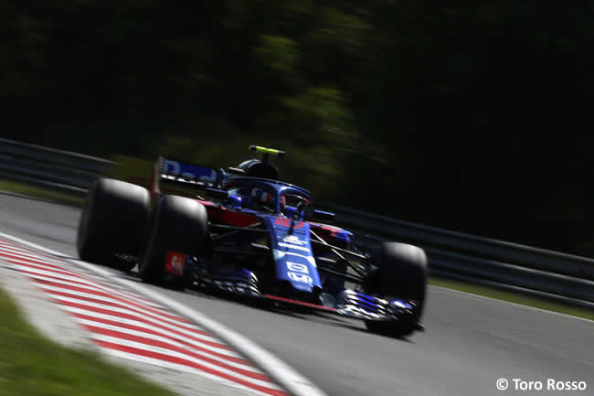 Pierre Gasly - Toro Rosso - Carrera GP Hungría 2018