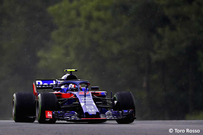 Pierre Gasly - Toro Rosso - Clasificación GP Hungría 2018