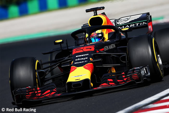 Jake Dennis - Red Bull Racing - Test Temporada Hungría 2018 - Día 2