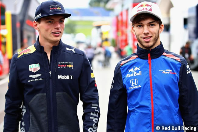 Pierre Gasly - Max Verstappen - Red Bull