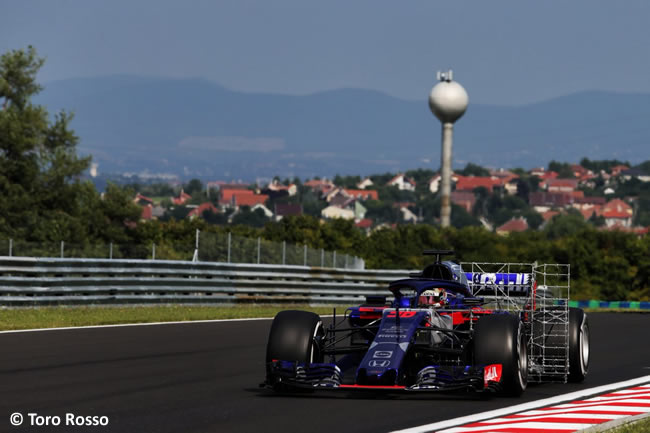 Sean Gelael - Toro Rosso - Test Temporada Hungría 2018 - Día 2