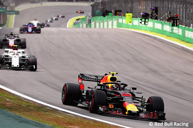 Max Verstappen - Red Bull - GP Brasil 2018 - Carrera