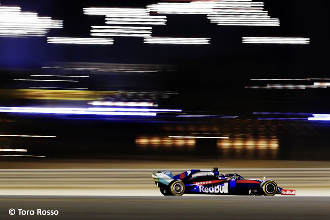 Daniil Kvyat - Scuderia Toro Rosso - GP Bahréin 2019 - Entrenamientos