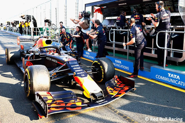 Max Verstappen - Red Bull - GP Australia Melbourne 2019 - Carrera